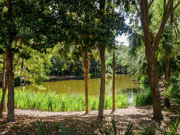 Kiawah Island Home 1006972