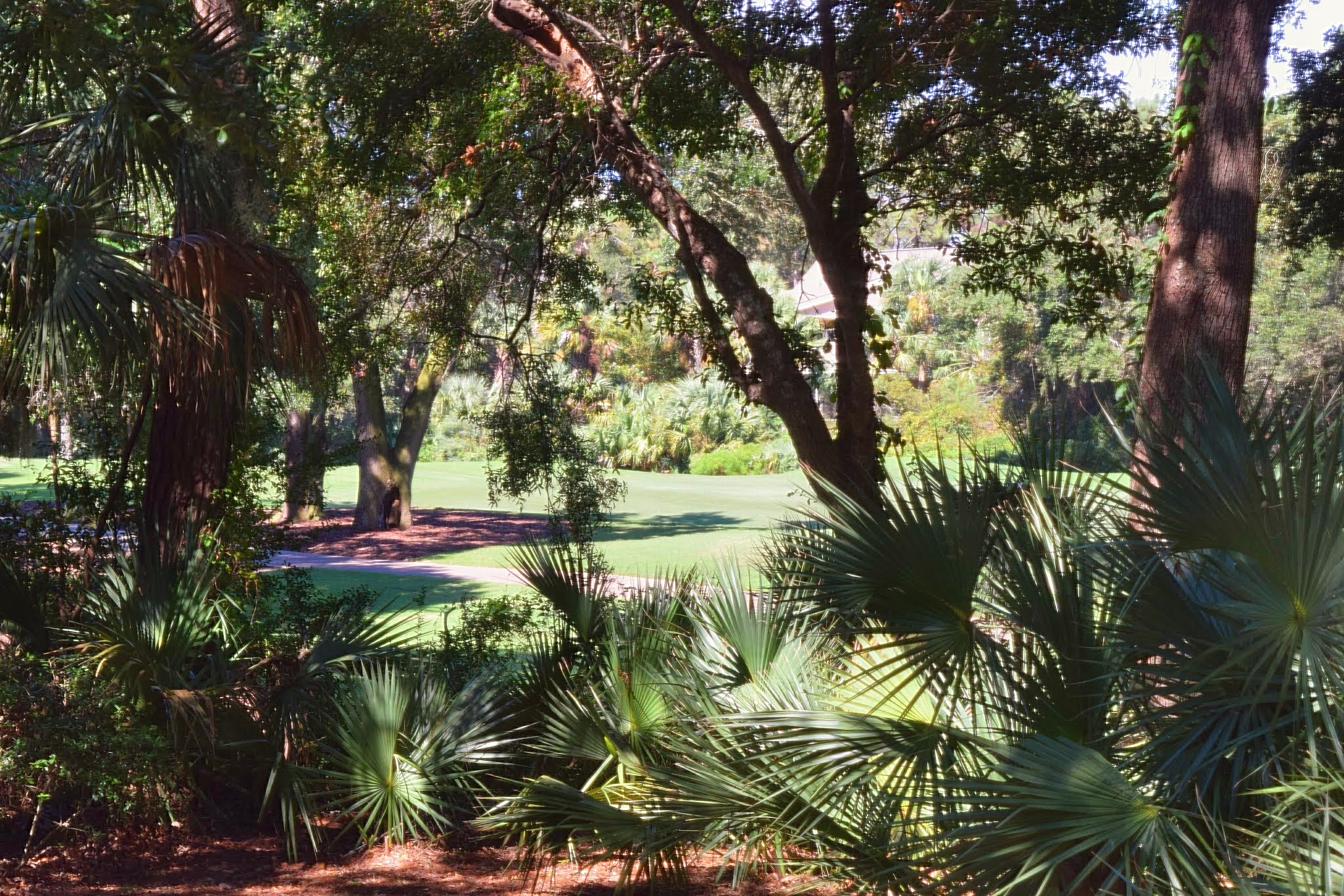 Kiawah Island Home 1006973