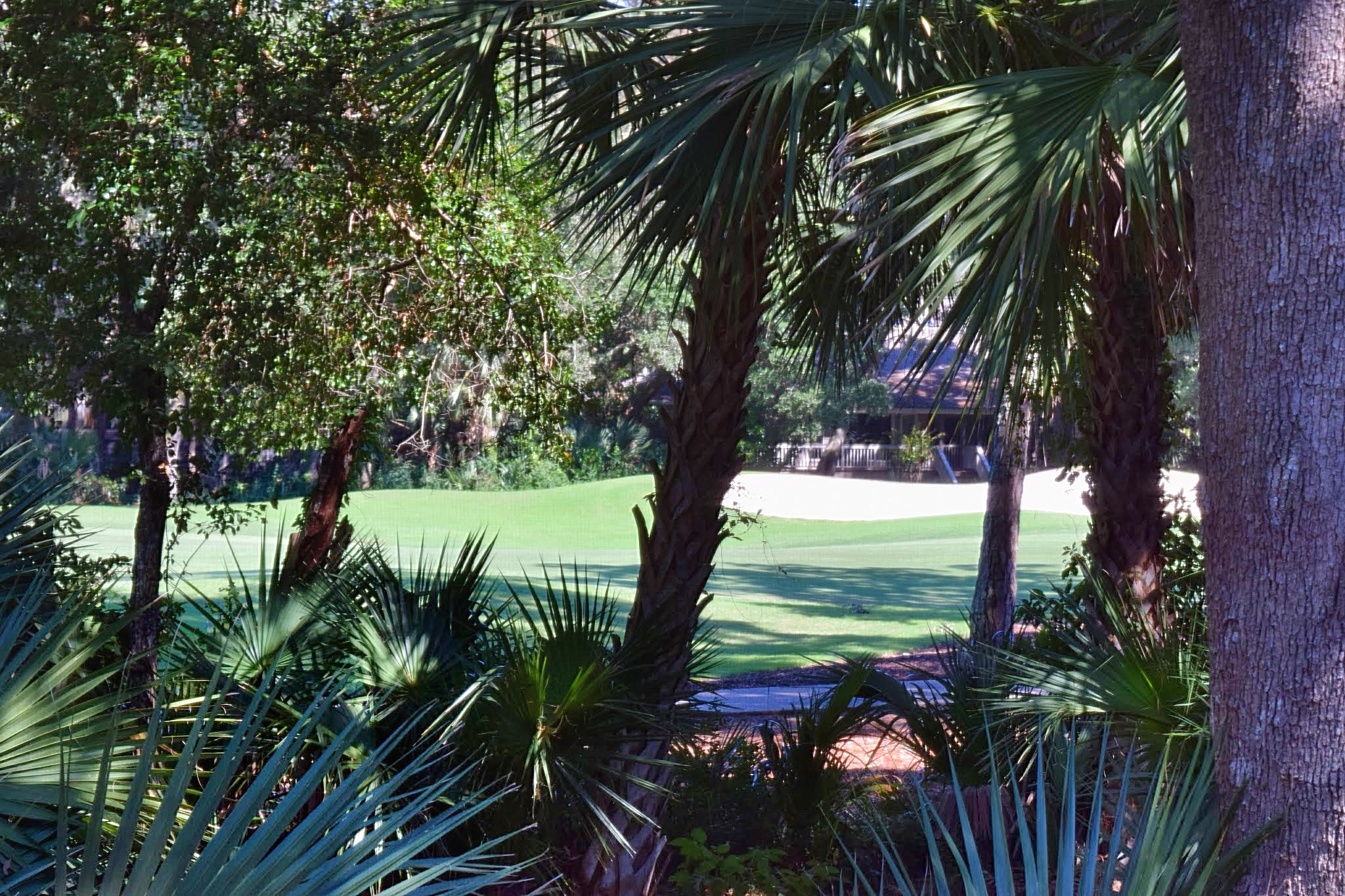 Kiawah Island Home 1006973