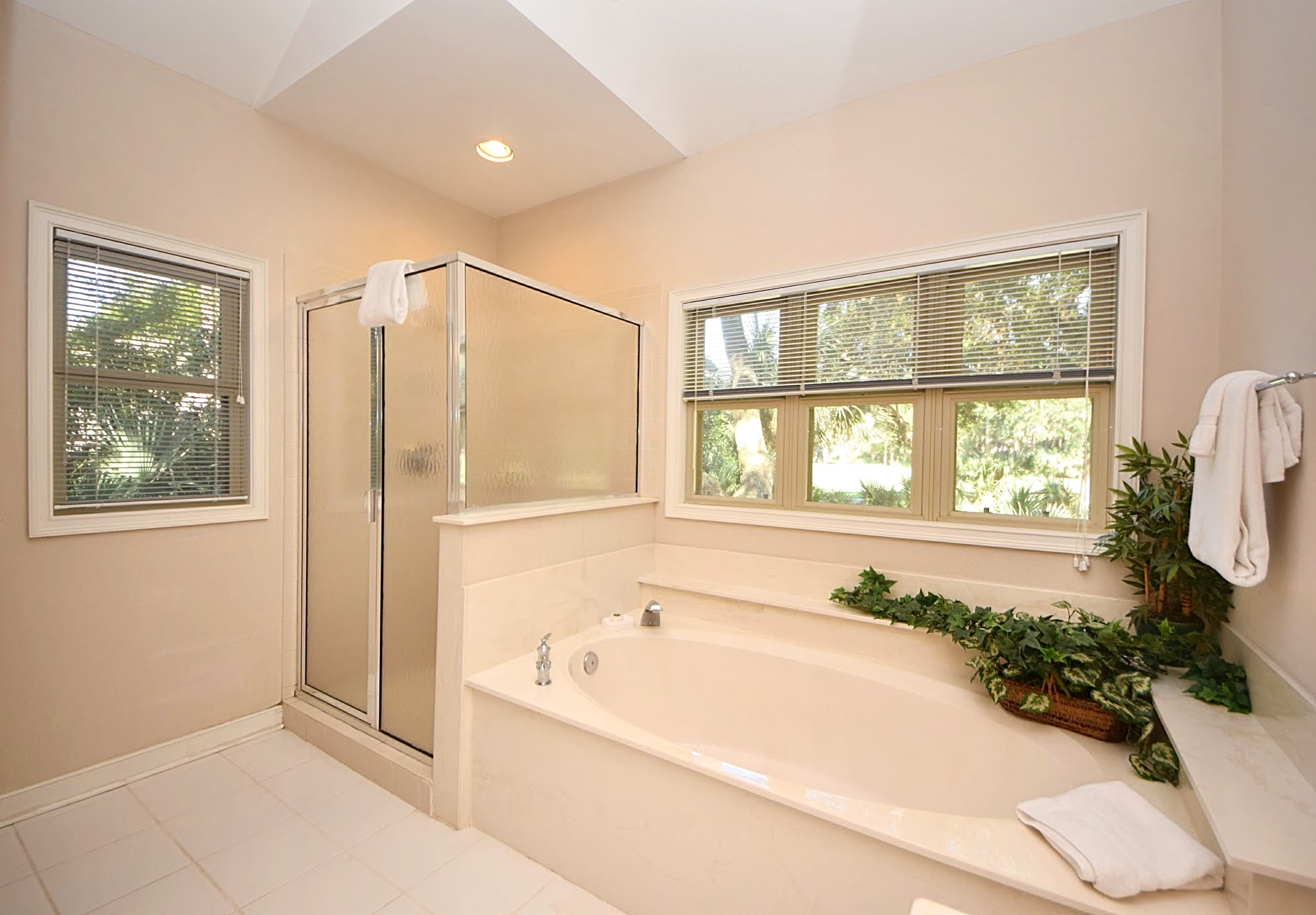 Kiawah Island Home 1006973