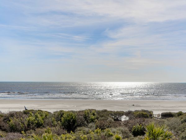 Kiawah Island Condo 1006978