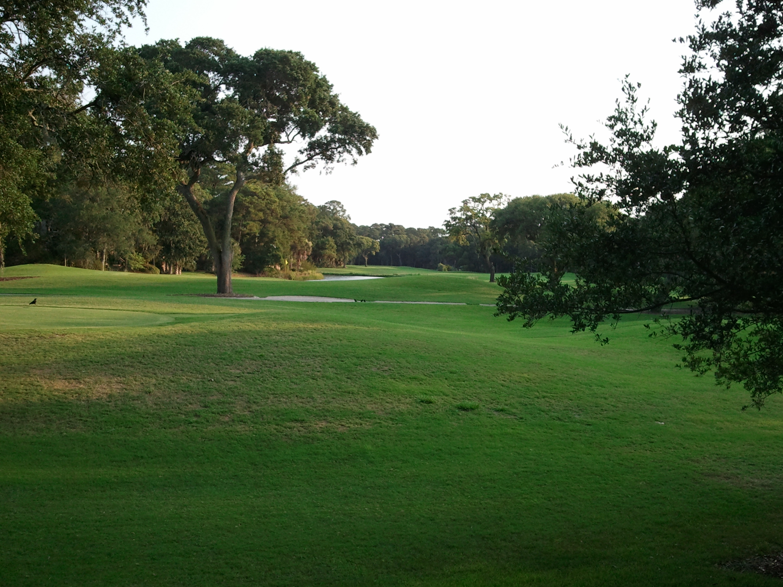 Kiawah Island Home 1006981