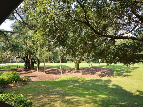 Kiawah Island Home 1006981