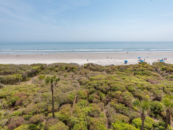 Kiawah Island Condo 1006983