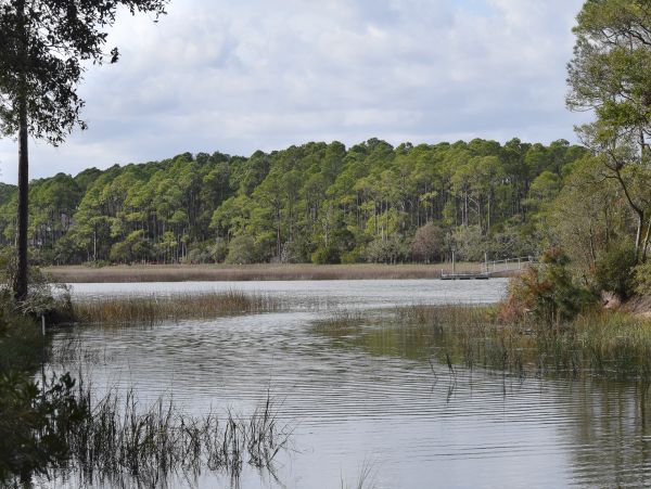 Kiawah Island Home 1006987