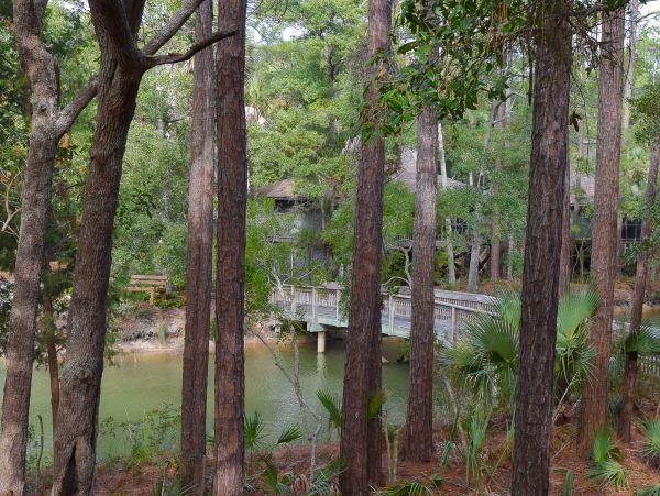 Kiawah Island Home 1006987