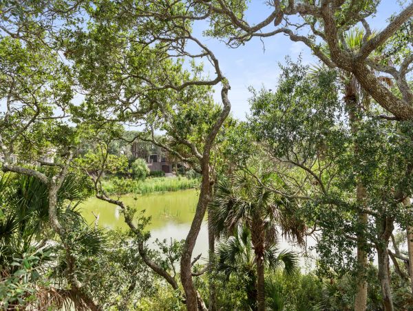 Kiawah Island Home 1007001