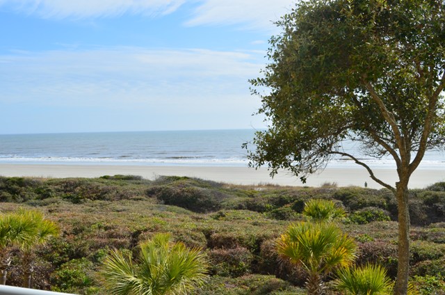 Kiawah Island Condo 1007003