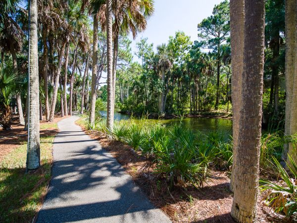 Kiawah Island Condo 1007009