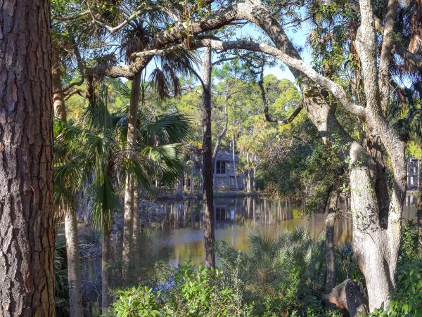 Kiawah Island Condo 1007020