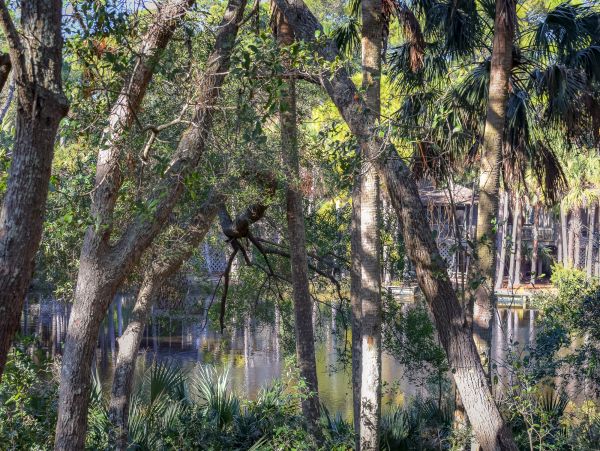 Kiawah Island Condo 1007020
