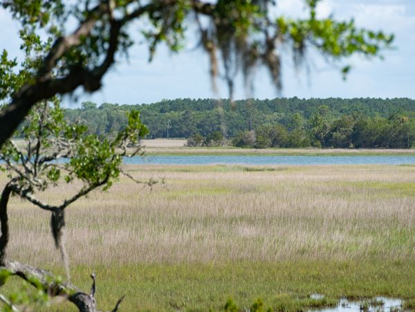 Kiawah Island Home 1007022
