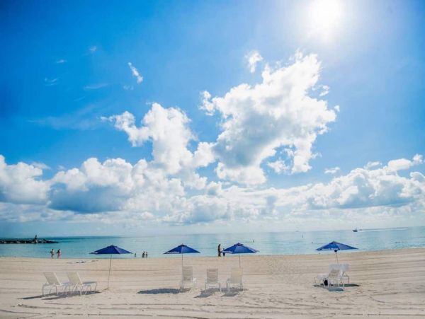 Miami Beach Home 1007023