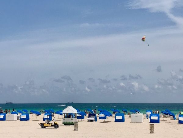 Miami Beach Home 1007061