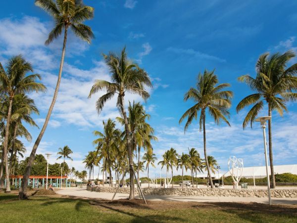 Miami Beach Home 1007139