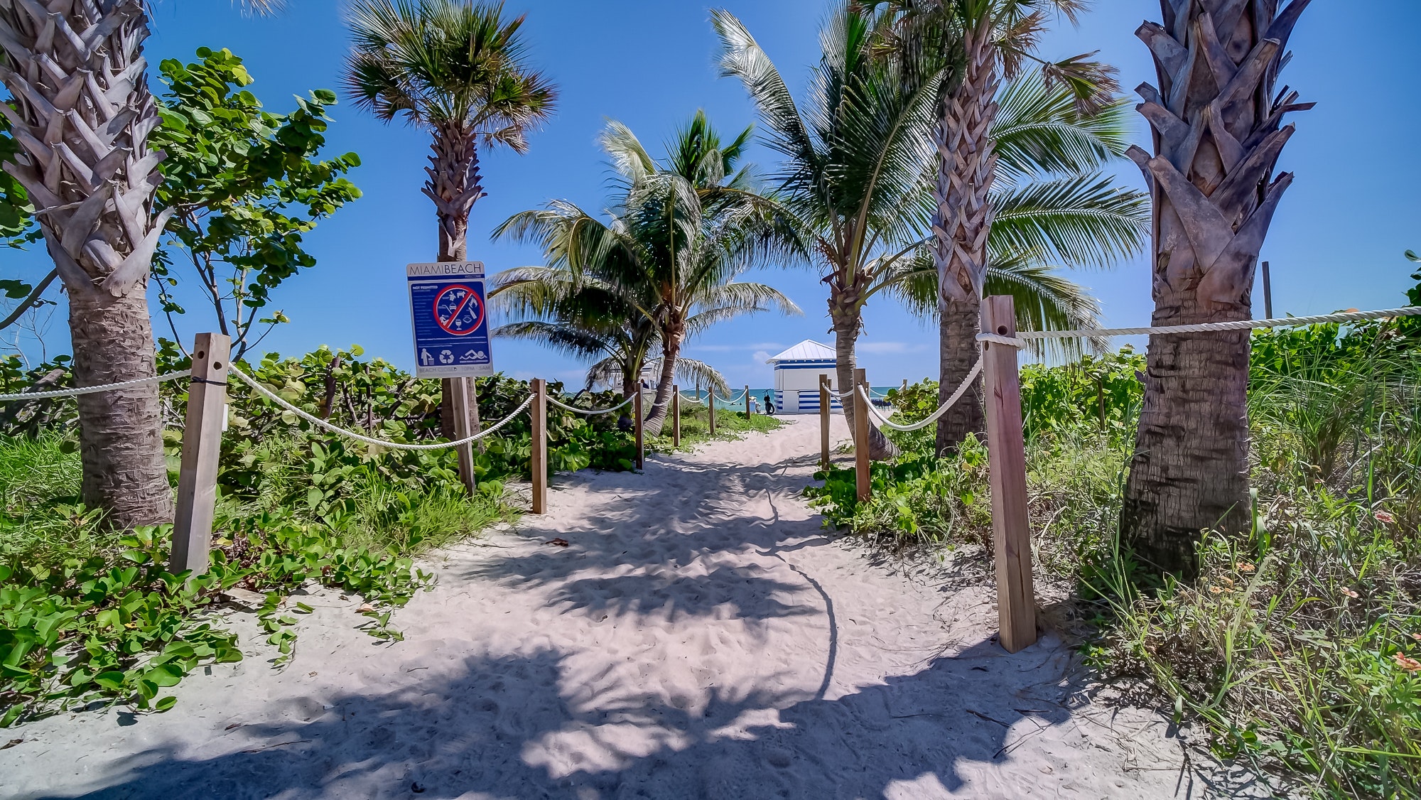 Miami Beach Home 1007159