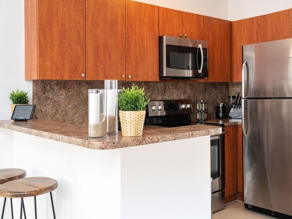 Miami Beach Home 1007162