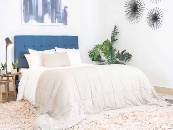 Miami Beach Home 1007169