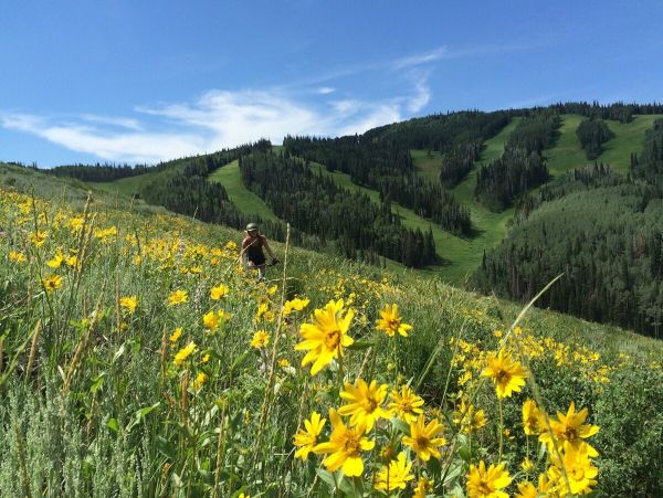 Park City Deer Valley Canyons Resort Home 1007353