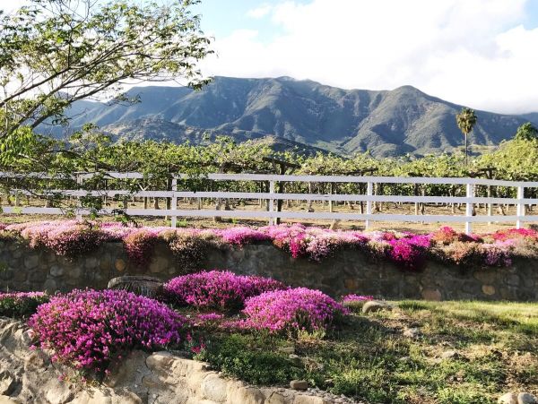 Santa Barbara County Home 1007420