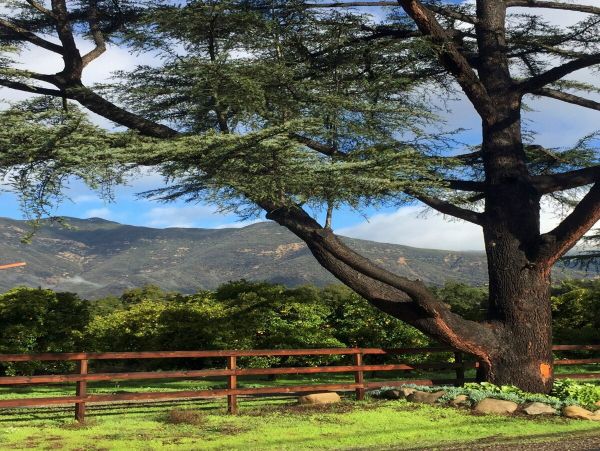 Santa Barbara County Home 1007420