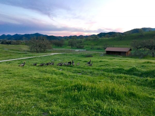 Santa Barbara County Home 1007422