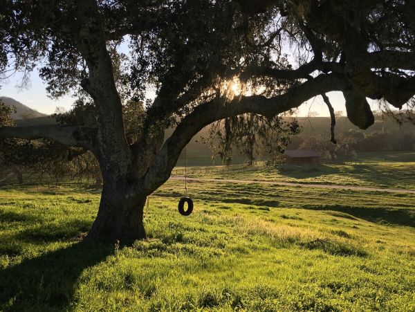 Santa Barbara County Home 1007422
