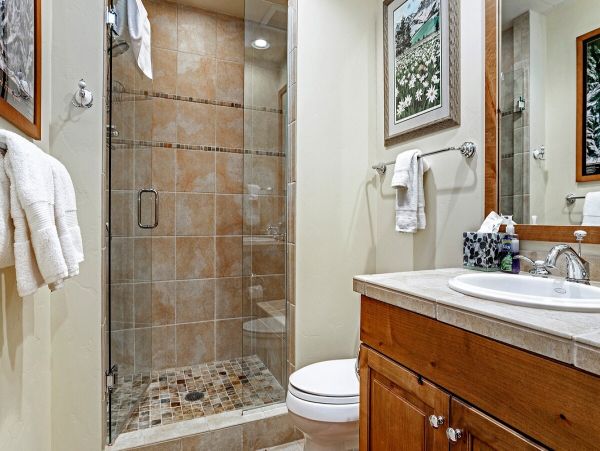 Vail Lionshead Home 1007451