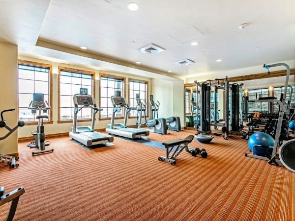 Vail Lionshead Home 1007451