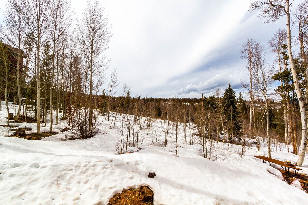 Beaver Creek Bachelor Gulch Home 1007454