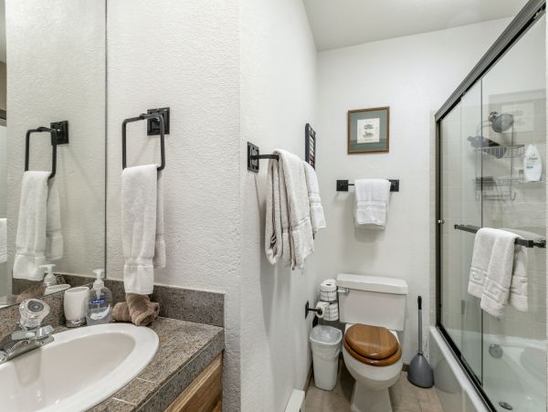 Vail Lionshead Home 1007458