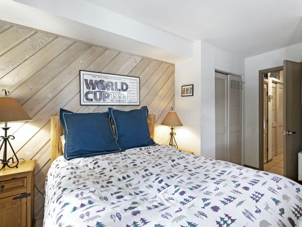 Vail Lionshead Home 1007458