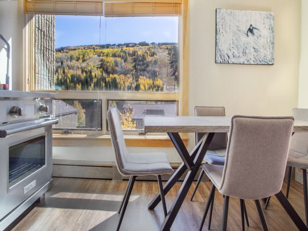 Vail Lionshead Condo 1007459
