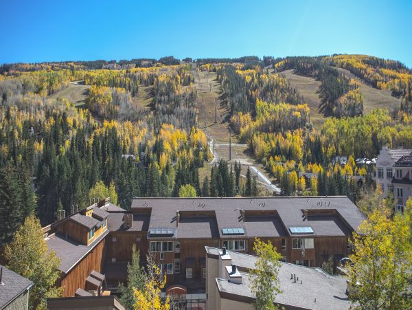 Vail Lionshead Condo 1007459