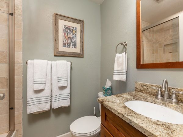 Vail Lionshead Condo 1007467