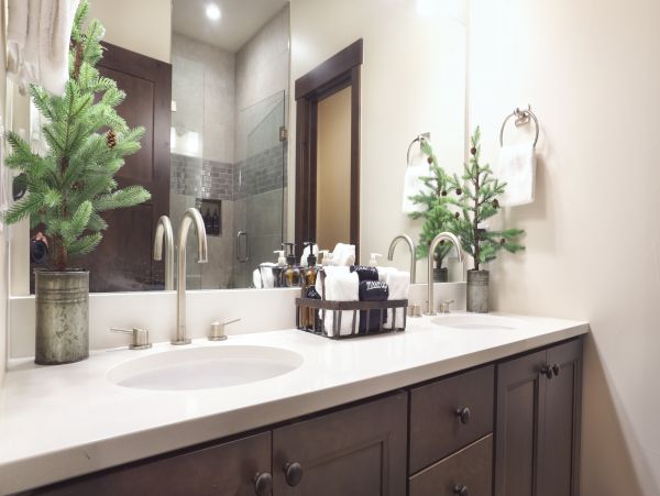 Beaver Creek Bachelor Gulch Home 1007472