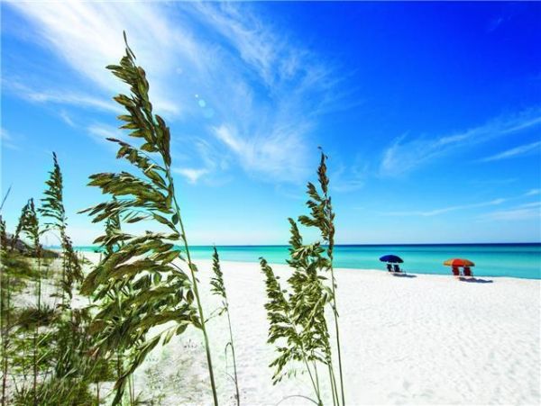 Beautiful & Spacious 5 Bedroom Pool Home in Seagrove Beach