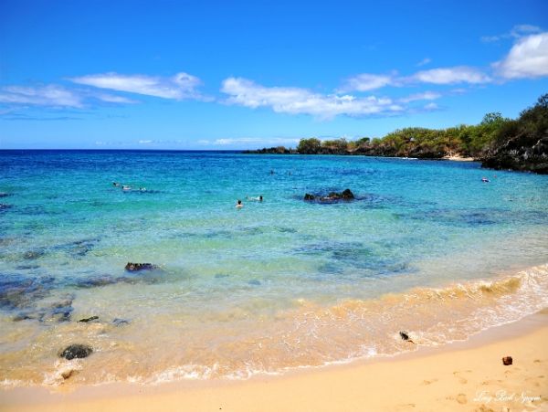 Kohala Coast Luxury Villa with Amazing Views