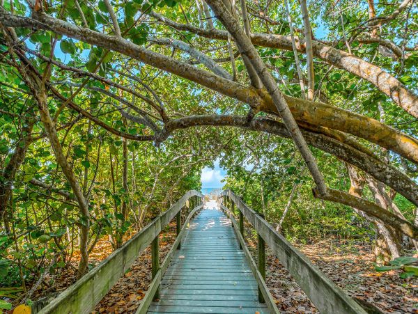 Bonita Springs Home 1007668