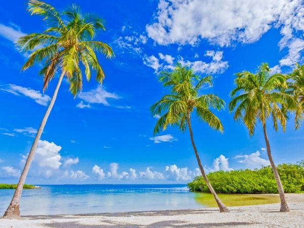Coco Plum Beach Home in Marathon with Pool and Boat Dock Canal Front