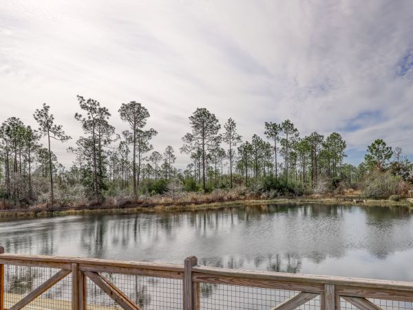 Beaches Of South Walton Home 1007705