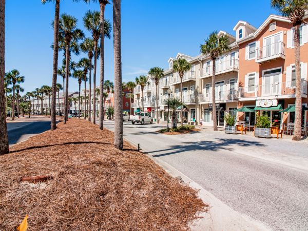 Beaches Of South Walton Home 1007710