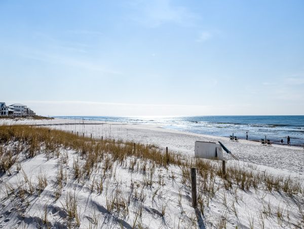 Beaches Of South Walton Condo 1007715