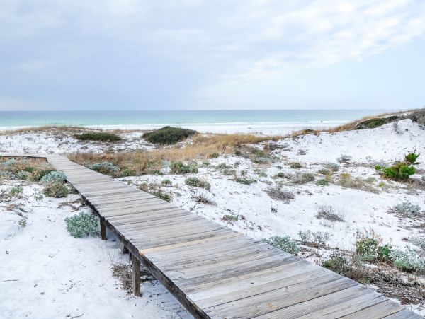 Beaches Of South Walton Condo 1007716