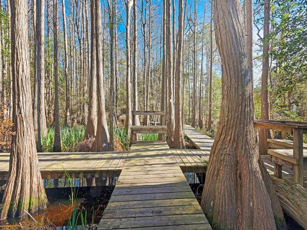 Beaches Of South Walton Home 1007737