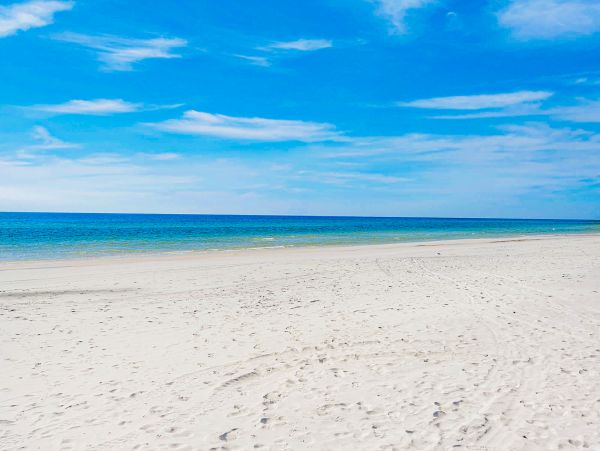 Beaches Of South Walton Home 1007750