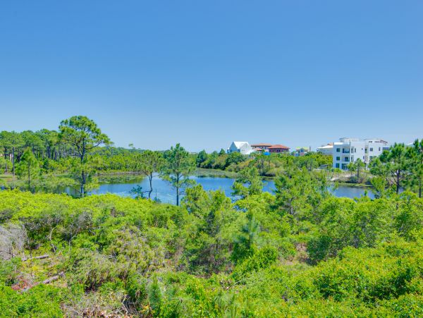Beaches Of South Walton Home 1007751