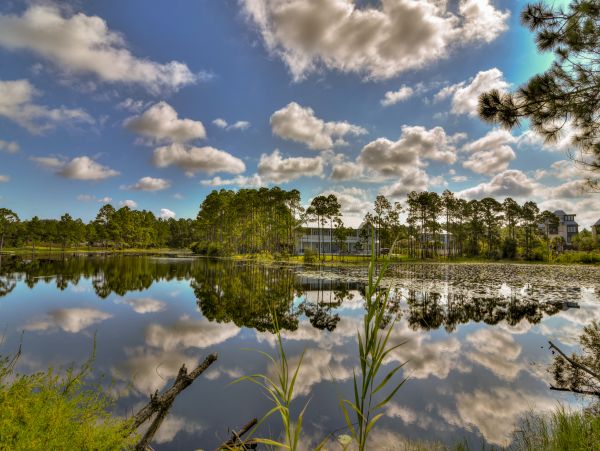 Beaches Of South Walton Home 1007767