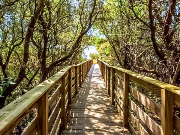 Beaches Of South Walton Home 1007771