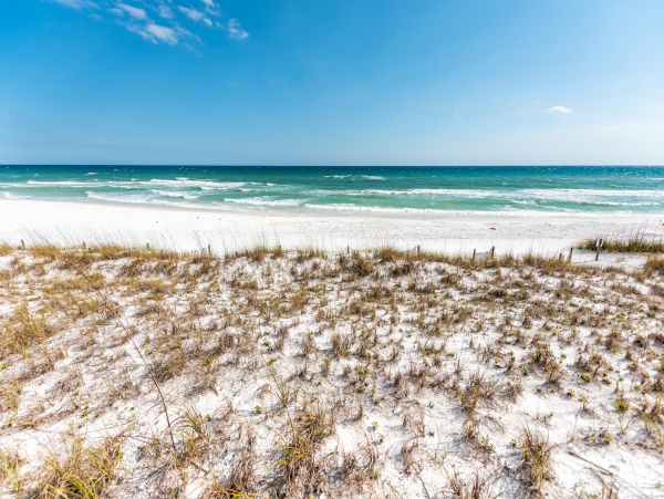 Beaches Of South Walton Home 1007808